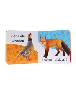 مكتبة الحيوانات الممتعة للمؤلف فاديا قرعان 4 8 سنوات اشتر القرطاسية عبر الإنترنت بأفضل الأسعار والعروض بالمملكة العربية السعودية Hnak Com